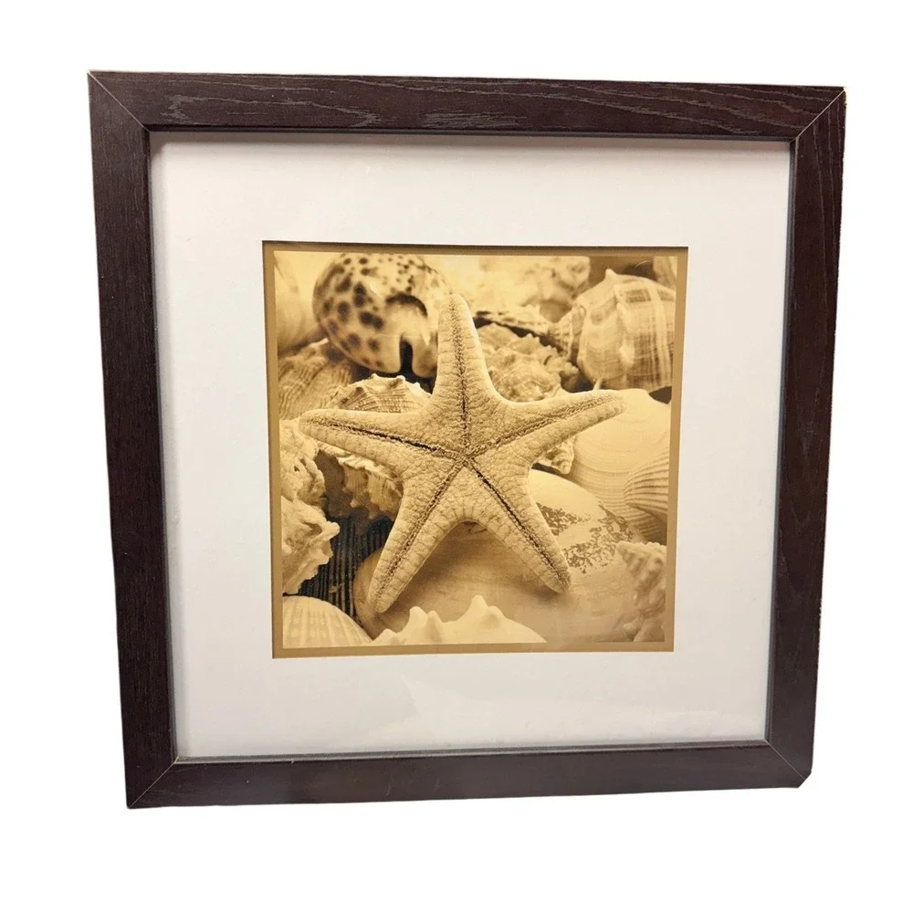 Framed Starfish Seashell Beach Wall Art Sepia Tone‎ Coastal Decor 17